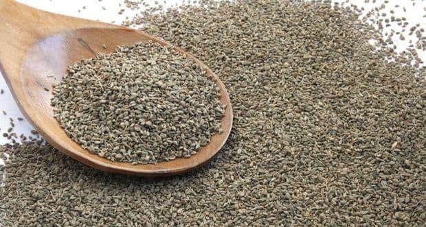 Ajwain…carom seeds: magical effects to health